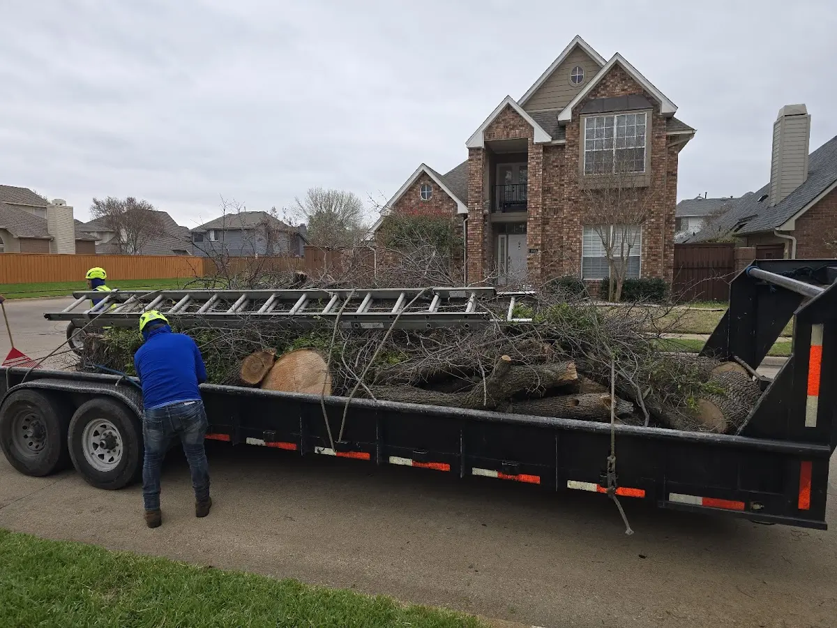 Expert Deadwooding with proper safety equipment in Luthersburg